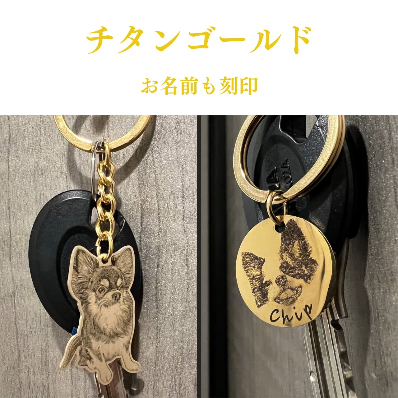 お得なキーホルダーセット(全身・丸型)