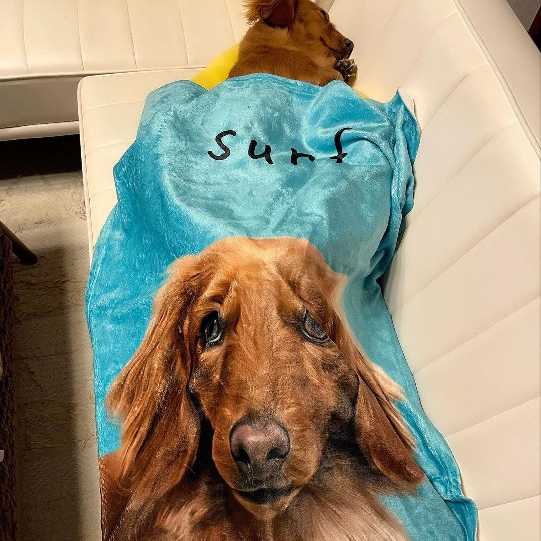 ペットのイラストで作る、うちの子オリジナルブランケット - PaintPet