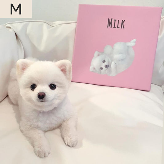 キャンバスセット